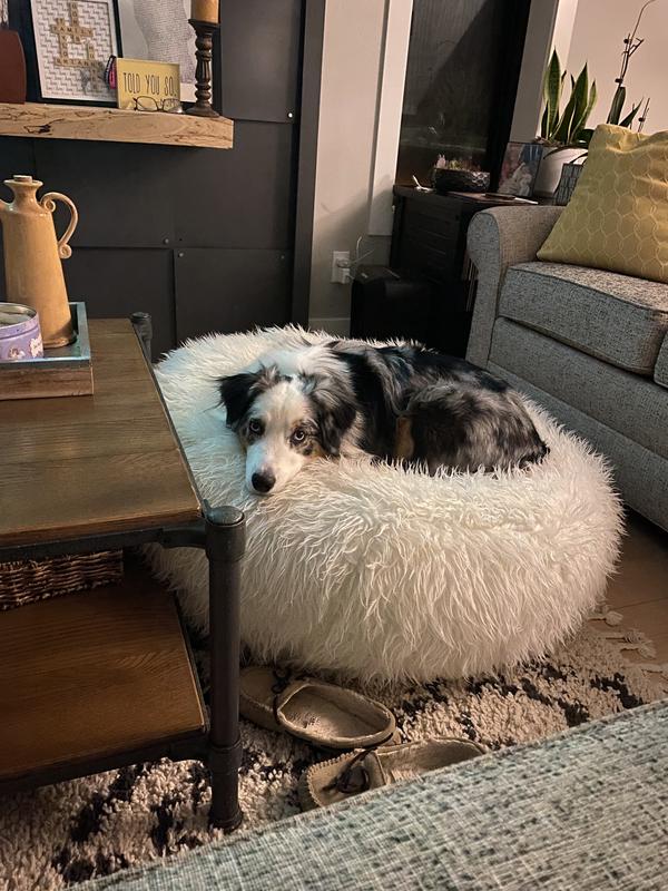 PATPET U01 Ultrasonic Pet Behavior Training & Animal Deer Goose