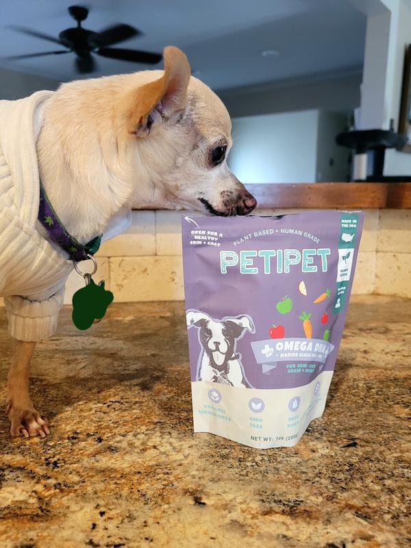 Our picky eater is very interested!