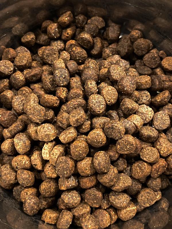 Badlands Morsels beef kibble up close