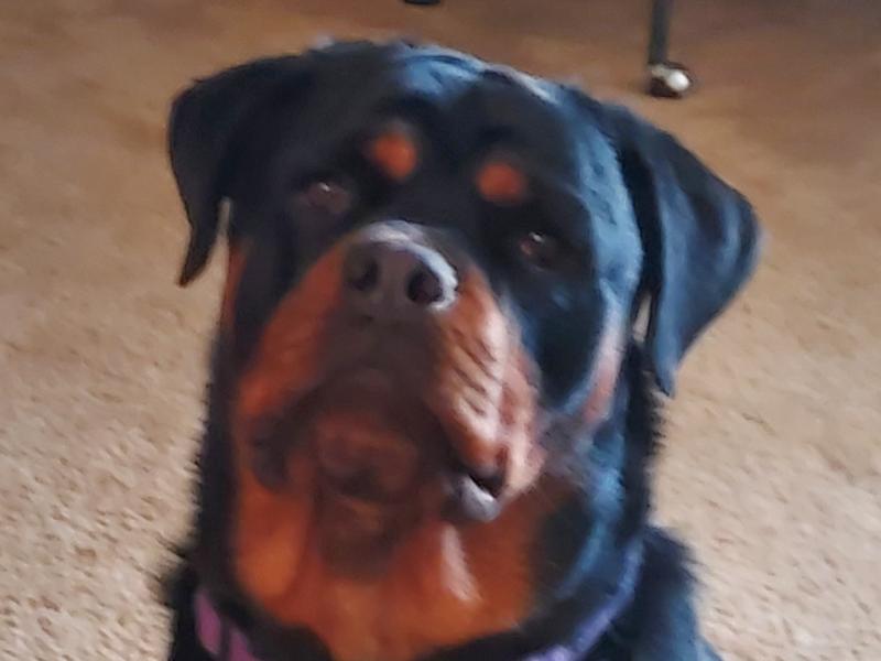 Do NOT laugh at his 'pants'.