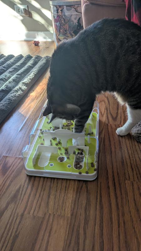 best cat litter for box Modkat Flip Litter Box with Scoop and Reusable Liner