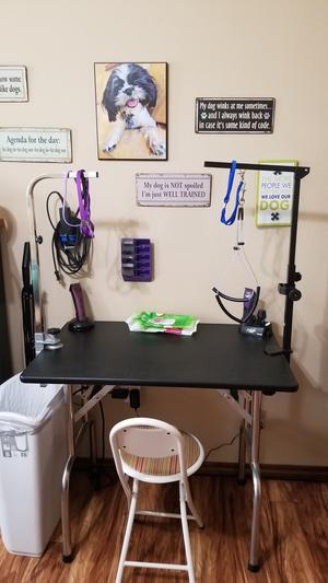 Downtown Pet Supply Dog Grooming Table Arm, No Sit Grooming Loop, Black, 1  Haunch 