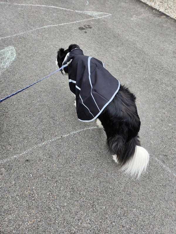 The worst it got. I just kept moving it back into place. He didn't get tangled, and it never came off.