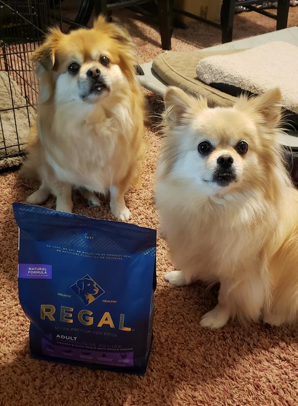 Cerberus and Fenrir standing by their chocie.