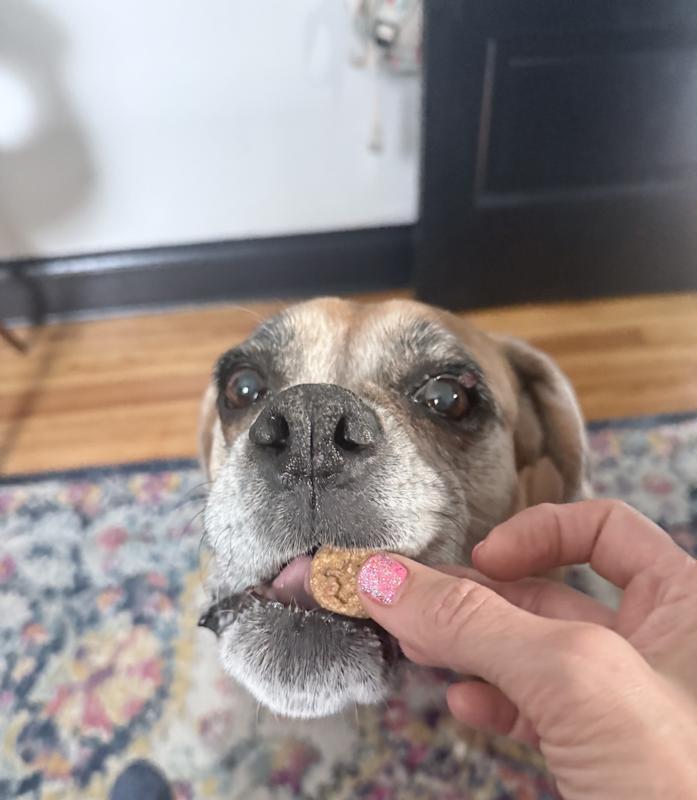 Myla enjoys these treats
