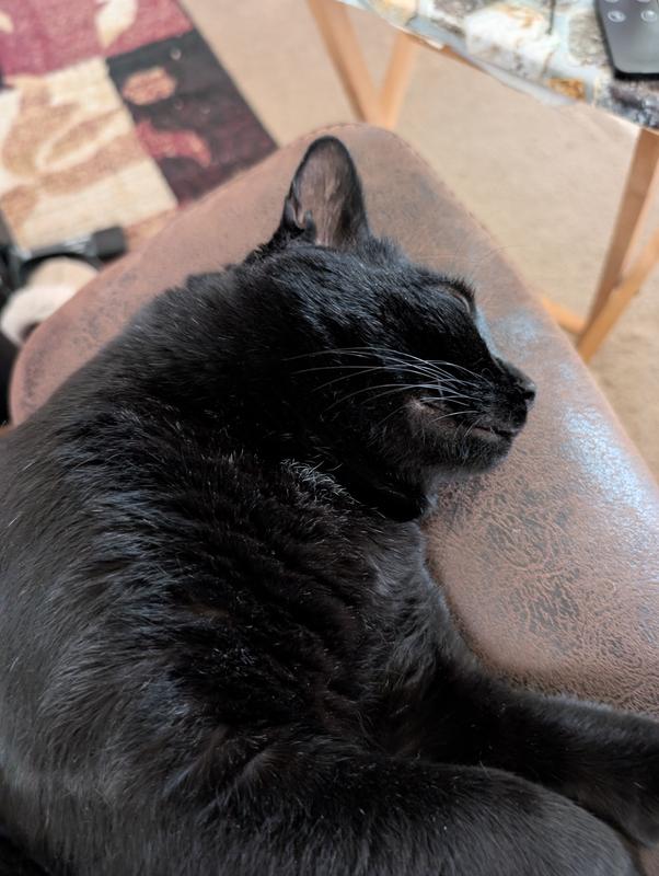 Happy and nappy My Stinky