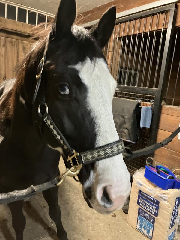 Boone explaining why he loves his new chewy grain