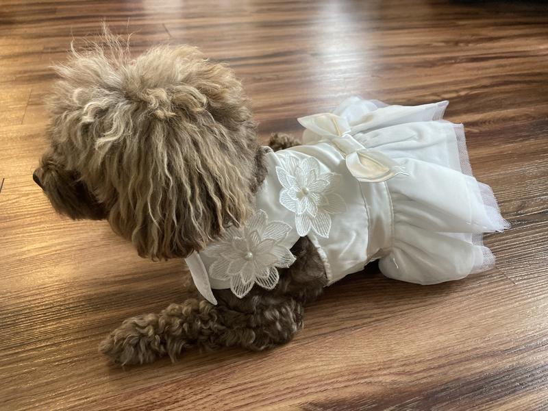 Beach hair don’t care but look at my dress! It’s lovely