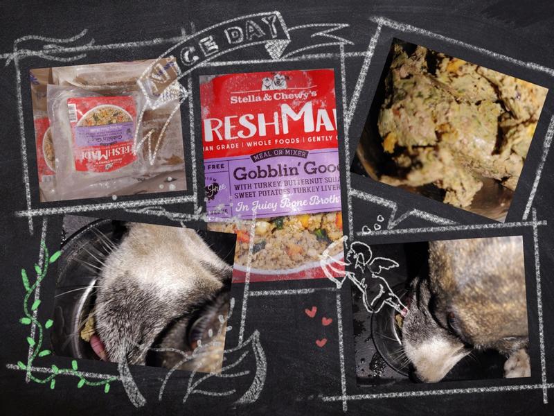 A collage of FreshMade Gobblin' Good Gently Cooked Dog Food and my Princess enjoying a serving of it.