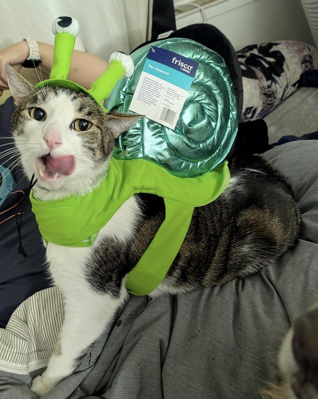 Frisco Snail Dog & Cat Costume