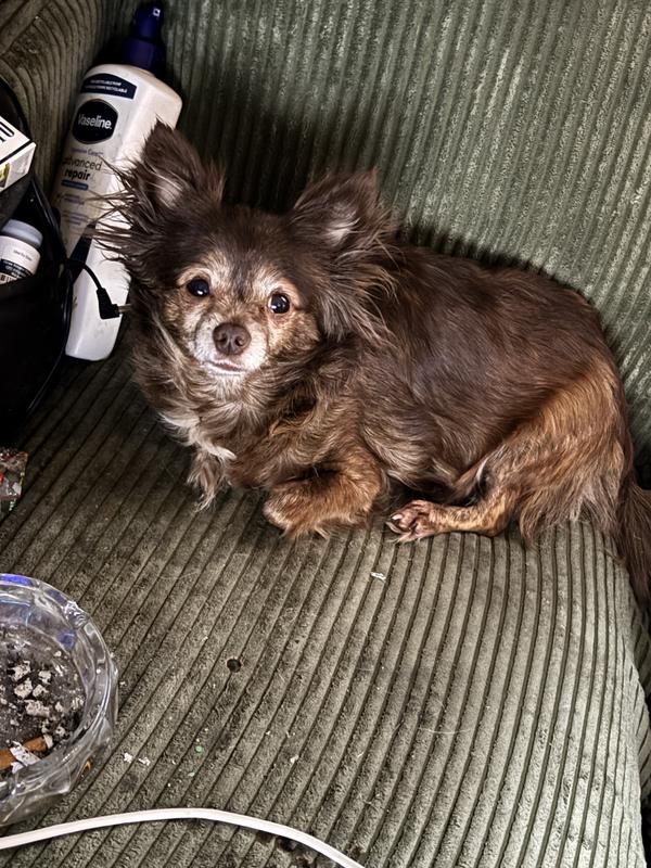 This is 2 days later after she started feeling better