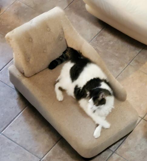 Relaxing on my new couch :)