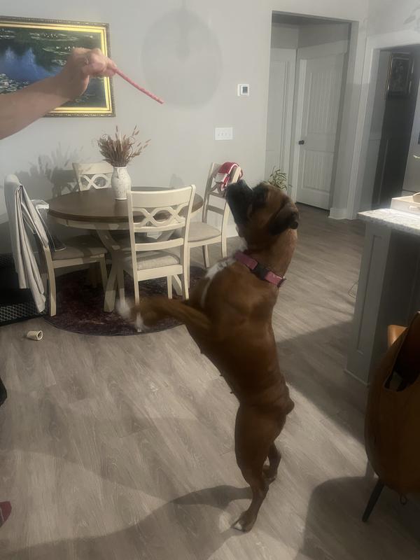 Super healthy chomps