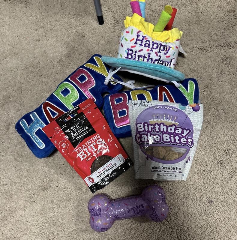 GOODY BOX Birthday Dog Toys & Treats, Medium/Large