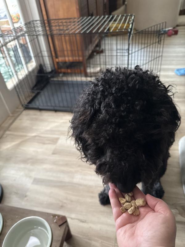 This is treat worthy deliciousness for her!