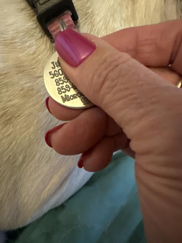 Dog ID tag