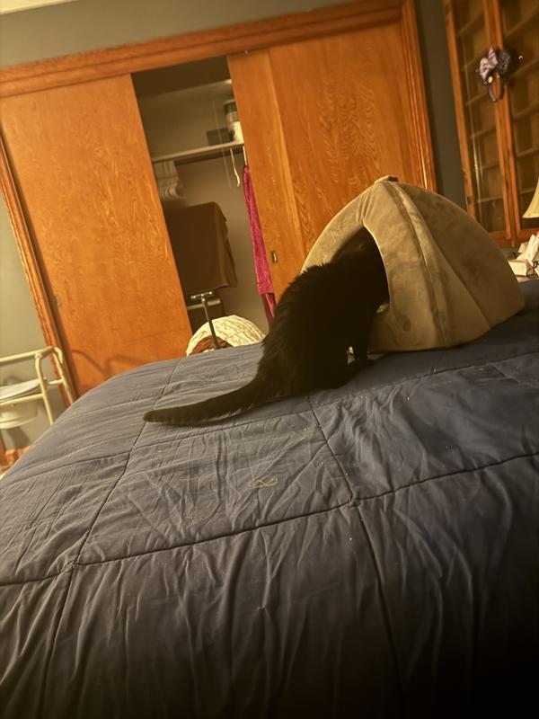 Oprah is checking out her new hideaway !!