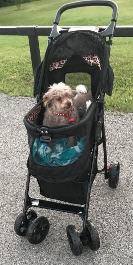 Coco In His New Ride
