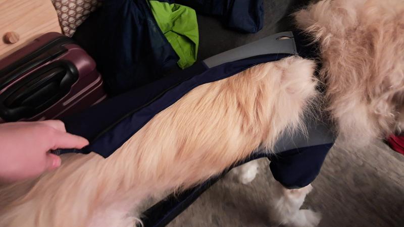 it's supposed to zip up from his butt to his neck - it came undone and got stuck around his neck