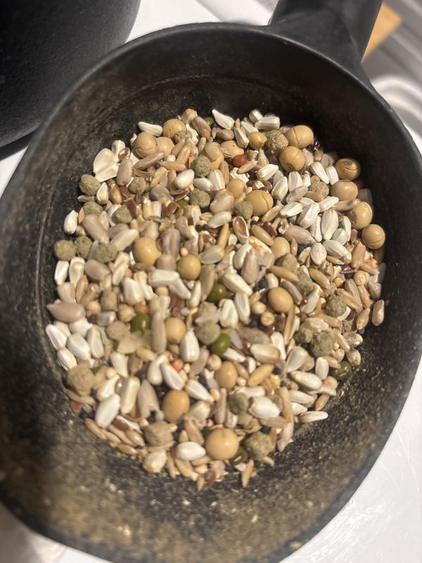 Food of champions🏁🐦🏁