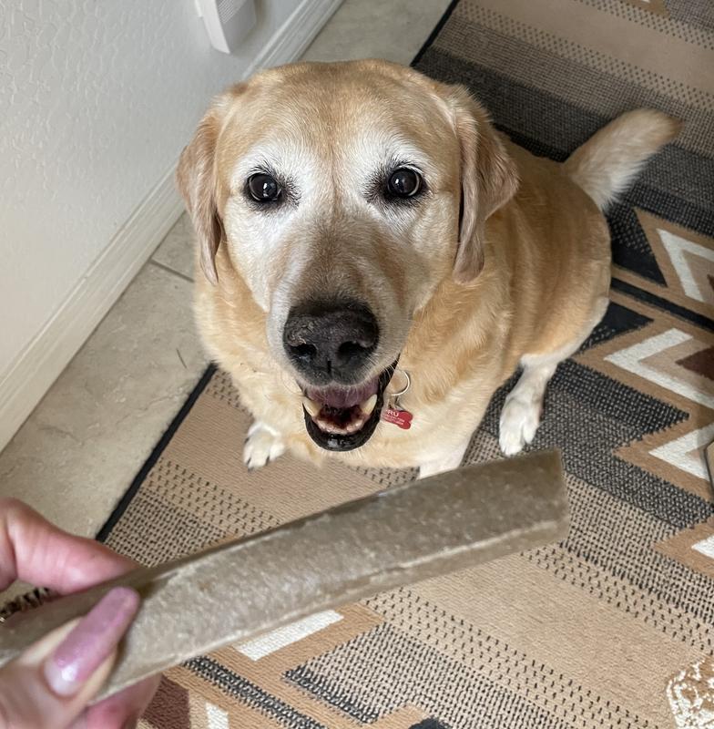 PRIME BONES Natural Large Chew Stick with Wild Venison Dog Treats, 6