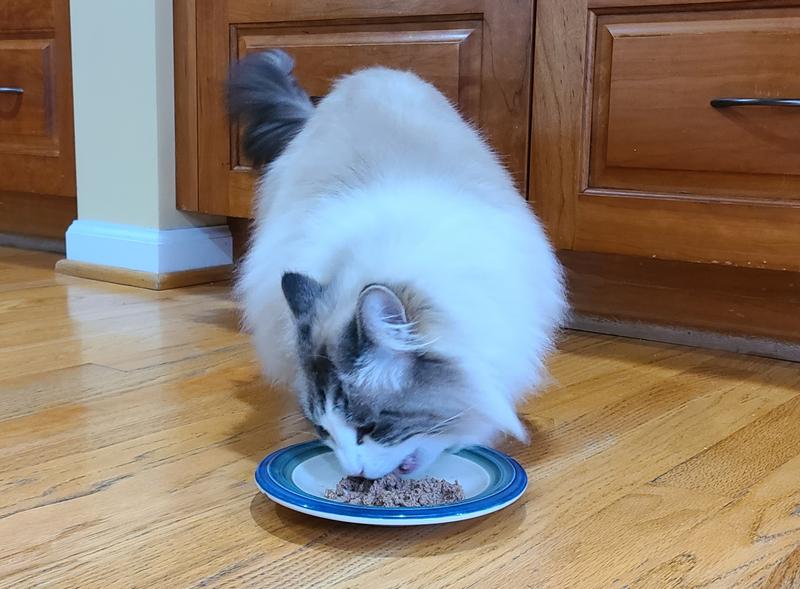 She loved the taste!