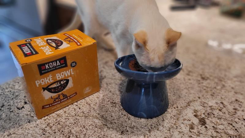 Love this yummy Koha Tuna and pumpkin!