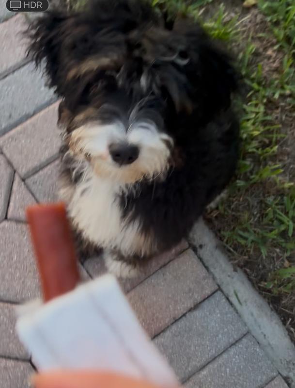 Ahsoka Being good for a wholesome treat