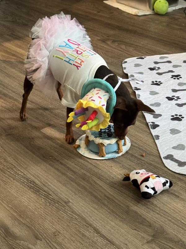 Reece trying to eat her cake