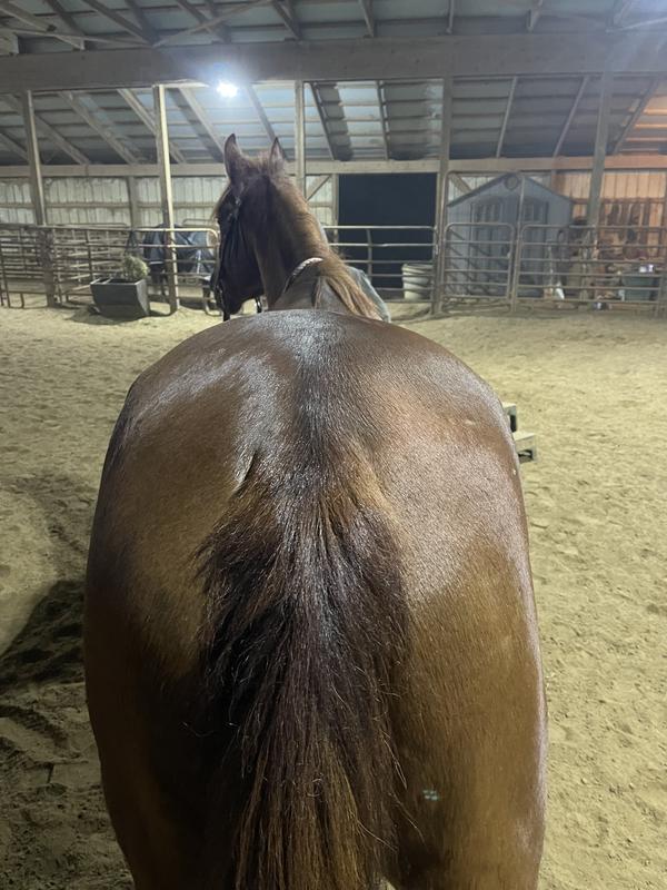 Filled out his top line