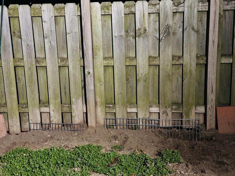 DIG DEFENCE No-Dig Max Protection Dog Barrier, X-Large, 15-pack - Chewy.com