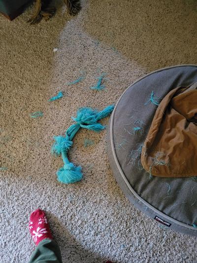 Messy rope toy