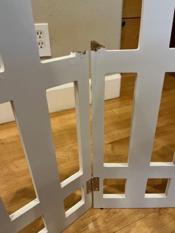 White shops picket fence folding pet gate