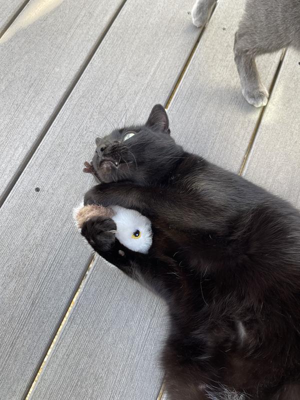 New best friend!