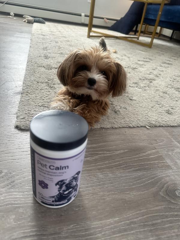 He’s excited when it’s time to take his supplement!