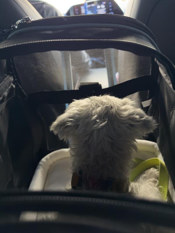 Enjoyed looking out.