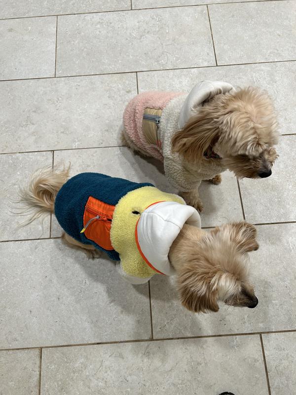 Frisco Colorblock Fleece Dog & Cat Hoodie w/ Pocket