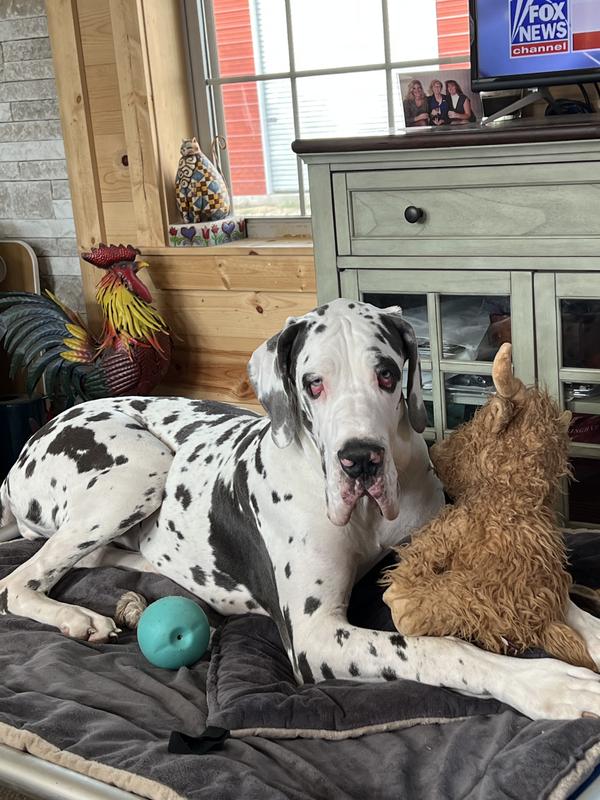 Abigail after breakfast