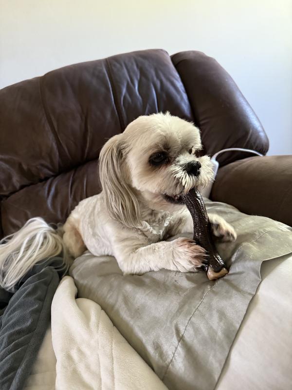 Someone say maple/Bacon!?