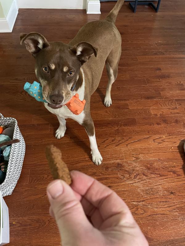 Not enough motivation to give up her piggies