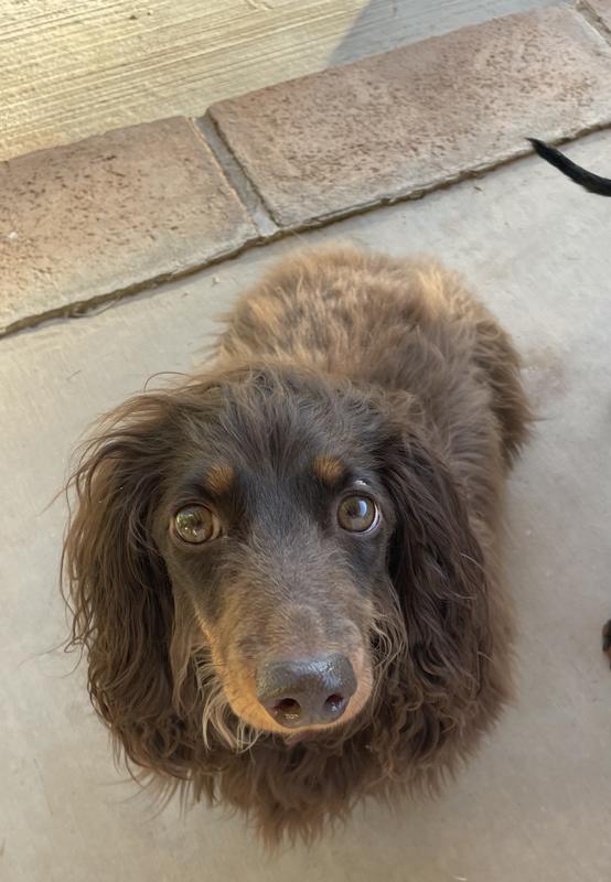 Looking so good after using the leave on mousse!!