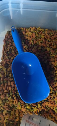 Van Ness 2 Cup Capacity Pet Food Scoop (Single), Blue