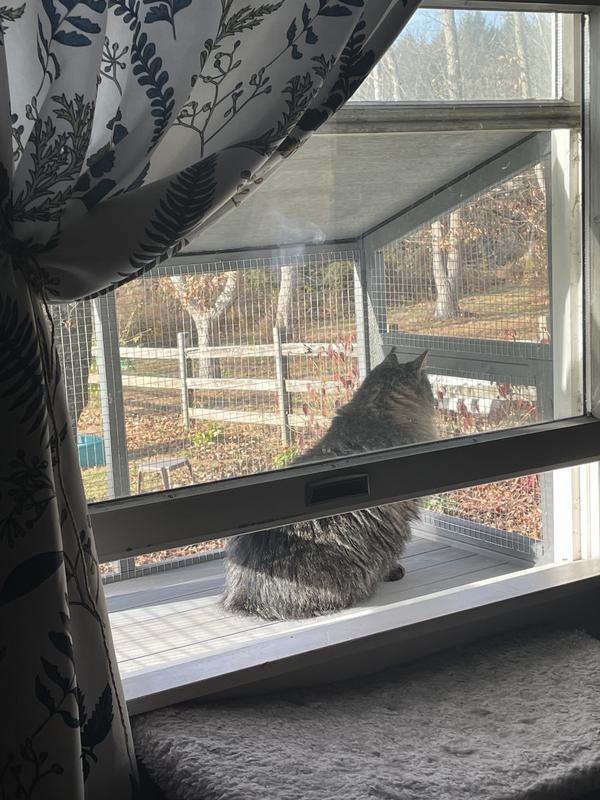 It took her no time to use it.