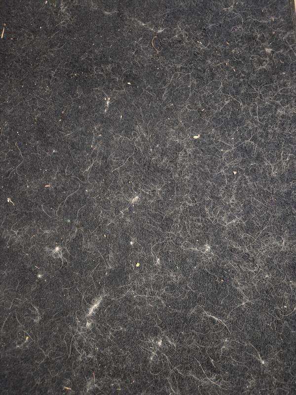 Before the vaccum's first pass