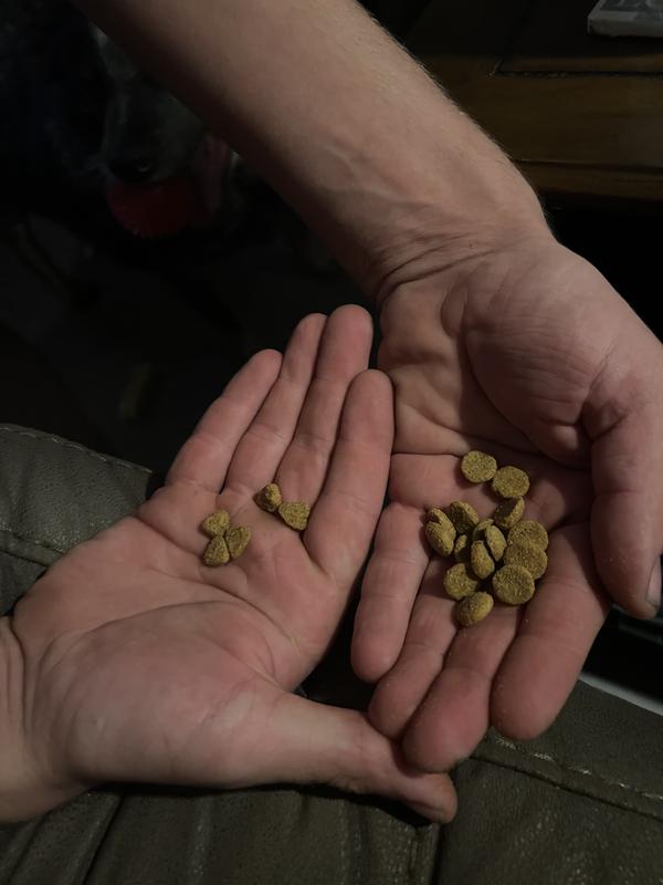Hill’s Science Diet Adult