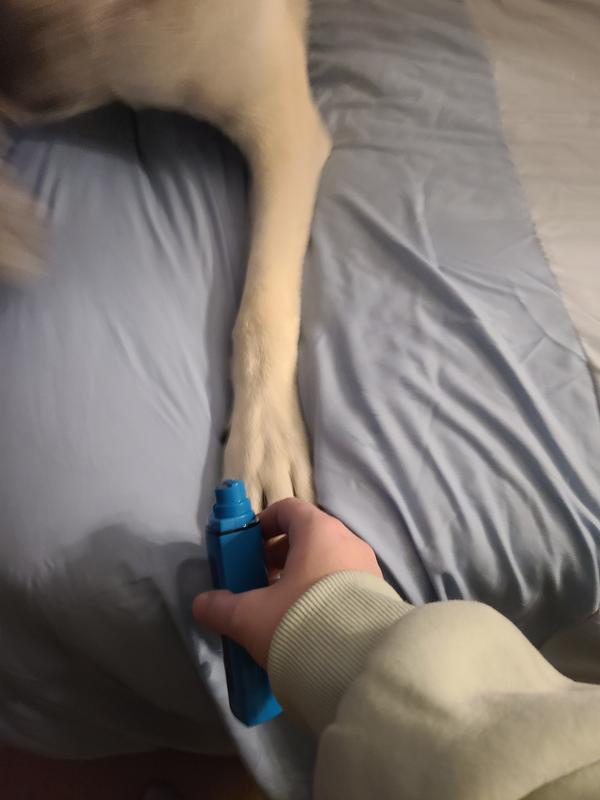 Pictures are from my attempts to get Moose comfortable with the grinder.