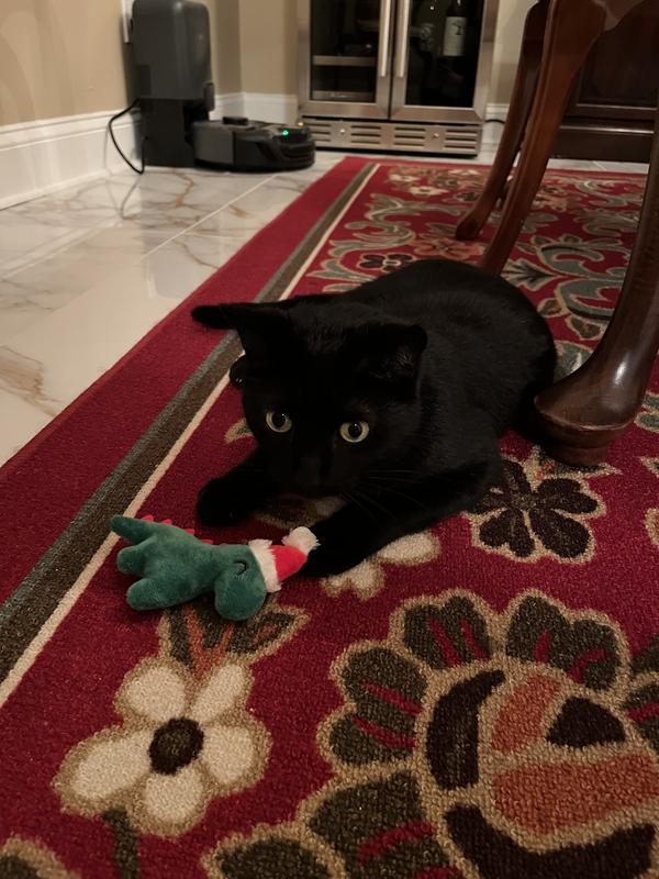 She’s the one that usually doesn’t warm up to new toys this quickly