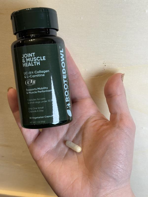 The capsule is little