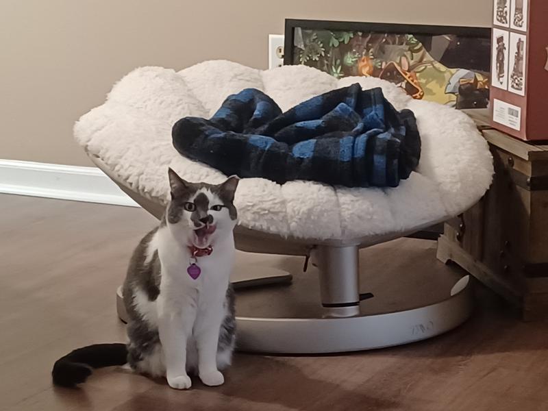 Posing with the bed. She will like it soon enough.