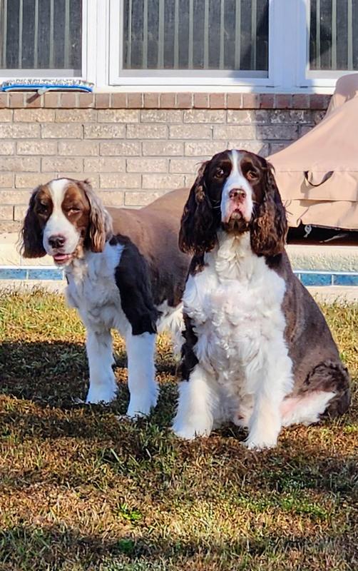 Merlin & Arthur, happy & healthy!